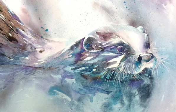 Picture muzzle, watercolor, Otter, Otter