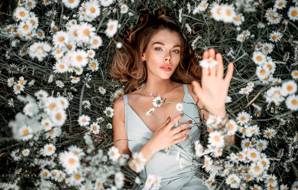Summer, girl, flowers, glade, hand, chamomile, dress, lies