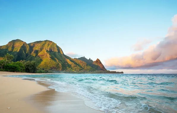 Sea, beach, rock, Hawaii