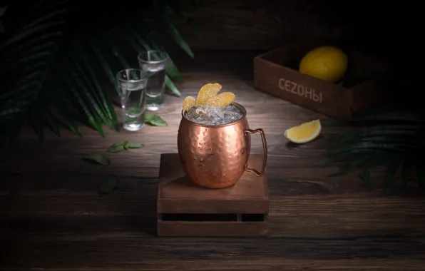 Ice, Cocktail, citrus