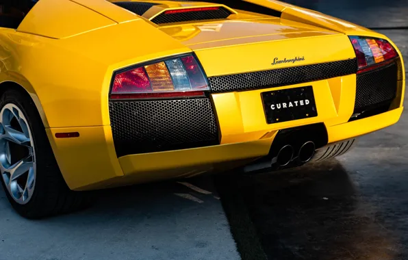 Lamborghini, Murcielago, lambo, rear view, Lamborghini Murcielago Roadster