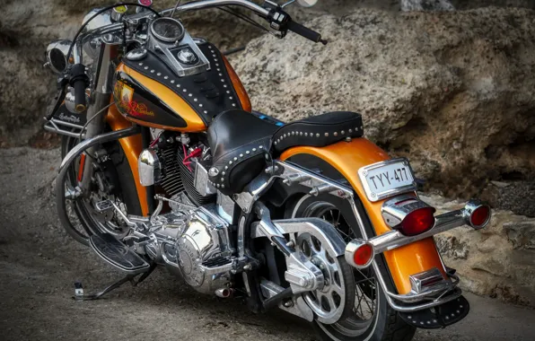 Picture Harley Davidson, motorcycle, custom, American motorcycle