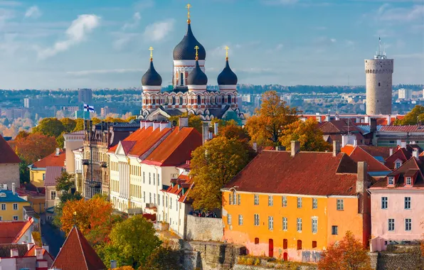 Picture wall, tower, view, top, town, urban, travel, toompea