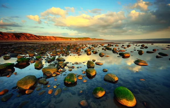 Sea, landscape, stones