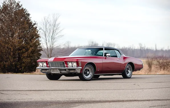 Red, Riviera, Buick