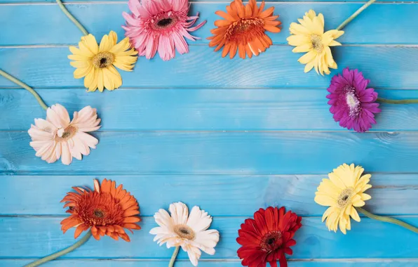 Picture flowers, background, colorful, pink, gerbera, wood, pink, flowers
