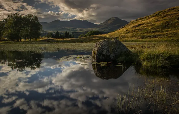 Summer, clouds, trees, mountains, lake, reflection