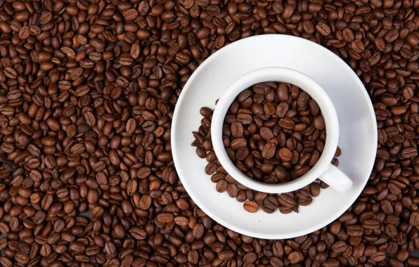 Coffee, Cup, drink, coffee bean