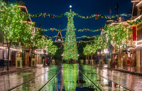 Trees, night, lights, holiday, street, home, Christmas, CA