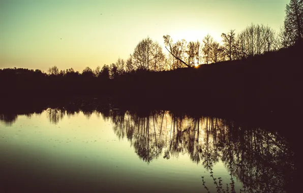 Lake, Trees, Landscape