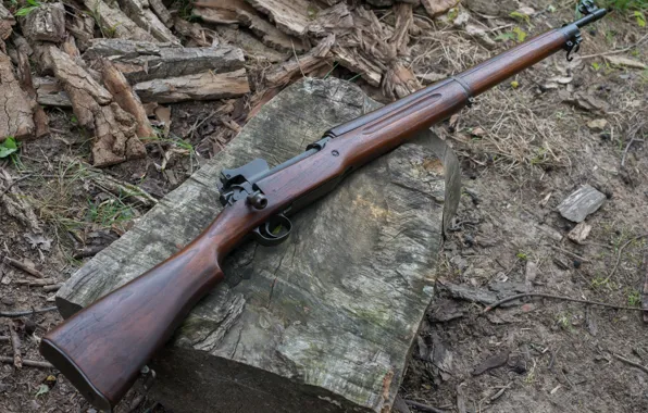 Picture rifle, Remington, 1917