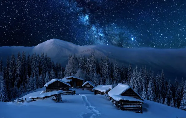 Mountains, Mountains, Snow Forest, Snowy forest, Winter night sky, Winter night sky