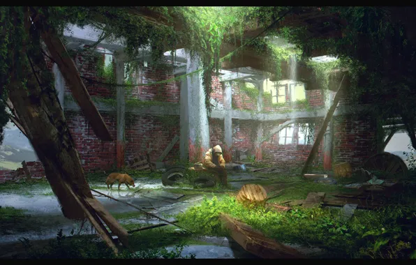 People, dog, devastation, ruins, Alone