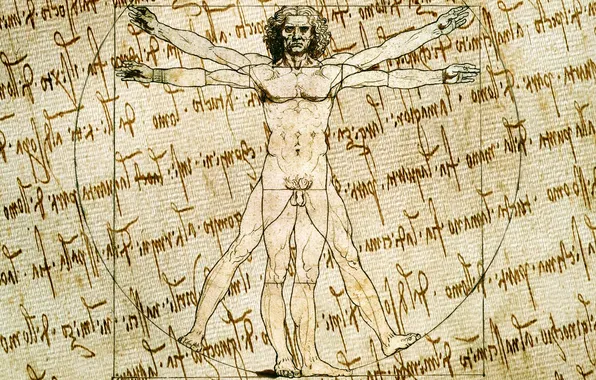 Leonardo da vinci, human body, paper effect