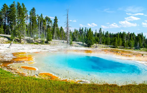 The sky, water, clouds, trees, the volcano
