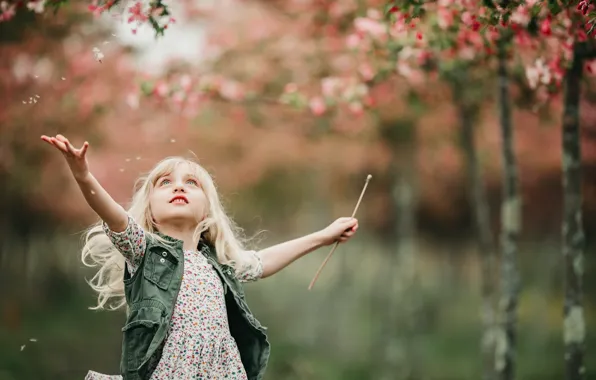Dandelion, spring, girl