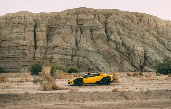 Picture Lamborghini, Huracan, side view, Lamborghini Huracan Sterrato