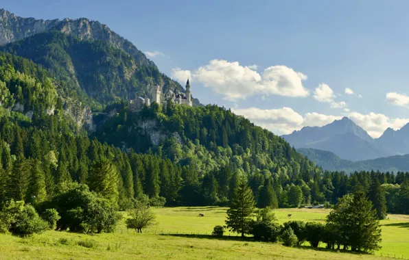 Forest, summer, castle, height, Neuschwanstein