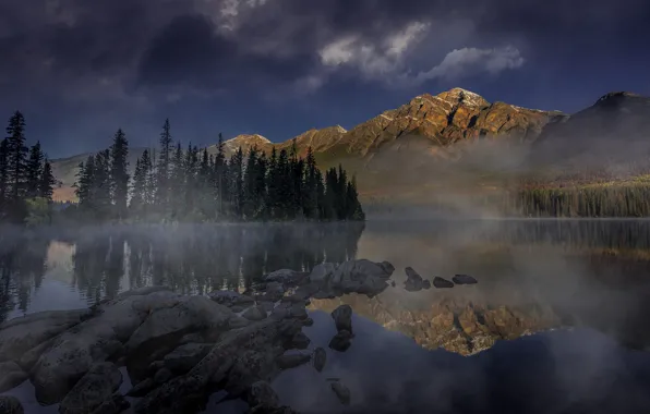 Picture trees, landscape, mountains, nature, fog, lake, stones, dawn