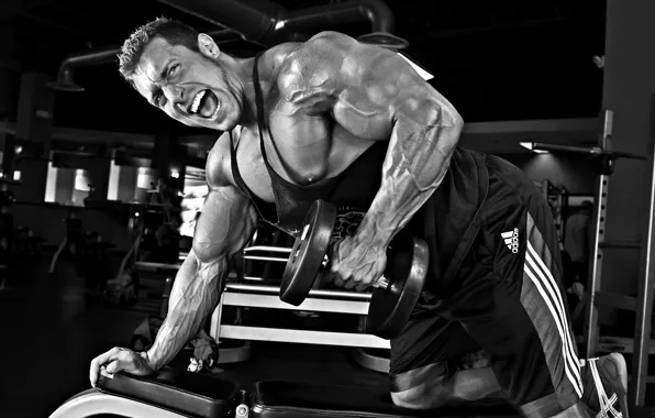 Pose, muscle, muscle, bodybuilding, training, gym, bodybuilder, dumbbells