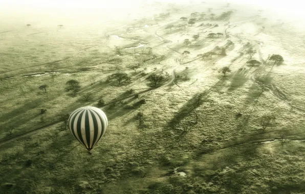 Picture flight, Balloon, Serengeti