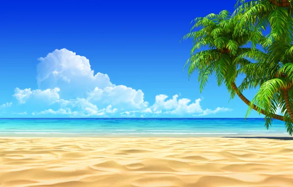 Picture beach, tropics, the ocean, exotic