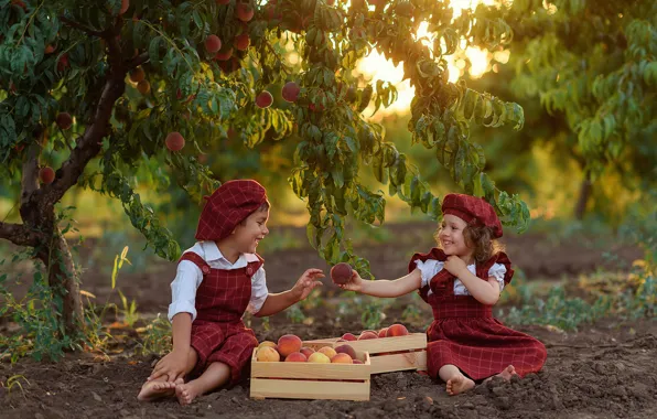 Picture nature, children, tree, the game, boy, garden, girl, boxes