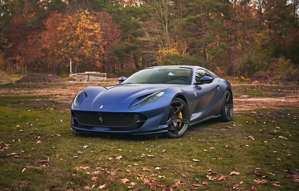 Forest, grass, leaves, trees, blue, Ferrari, blue, nature