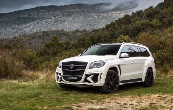 Picture Mercedes-Benz, SUV, crossover, LARTE, 63 AMG Black Crystal, Site Long Car, The GL-Class
