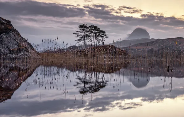 Autumn, nature, lake