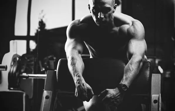 Pose, black & white, athlete, muscle, muscle, rod, black and white, simulators