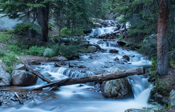 Forest, river, Colorado, cascade