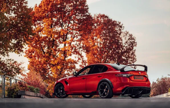 Autumn, Alfa Romeo, Giulia, GTAm, 2020, Gran Turismo Alleggerita changed