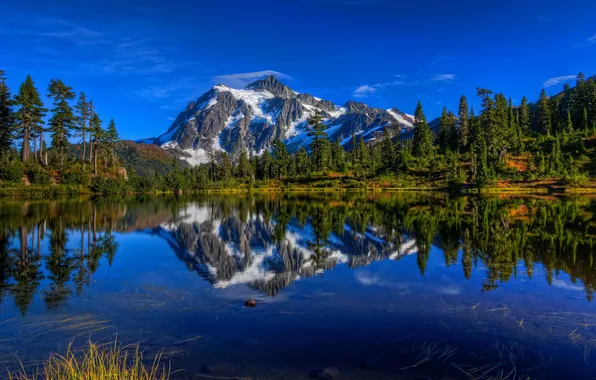 Picture trees, mountains, lake, reflection