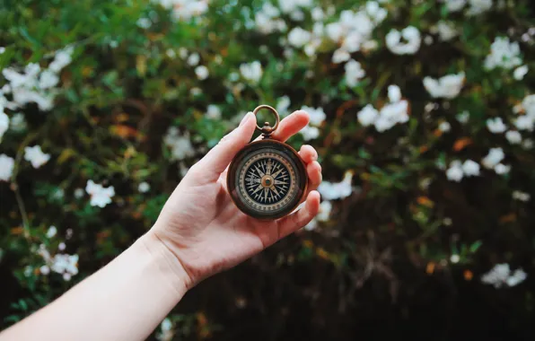 Picture girl, retro, hand, compass, vintage, compass in hand
