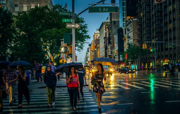 Picture the city, lights, people, rain, street, the building, morning