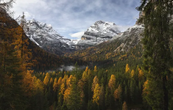 Autumn, forest, mountains, tops