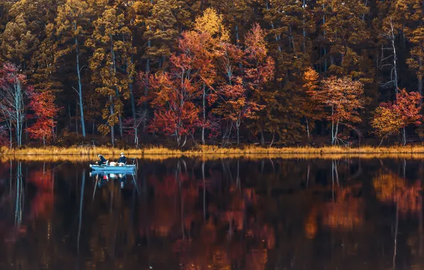 Autumn, forest, lake, reflection, shore, boat, swimming
