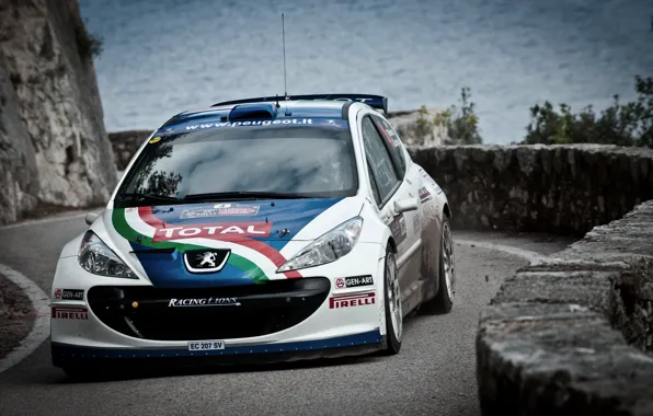 The hood, Peugeot, WRC, Rally, Rally, The front, 207