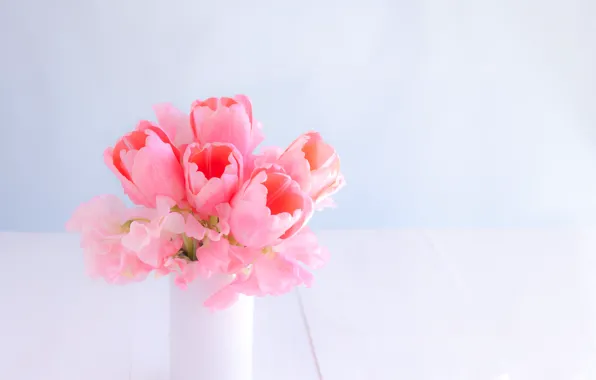 Bouquet, Tulips, vase