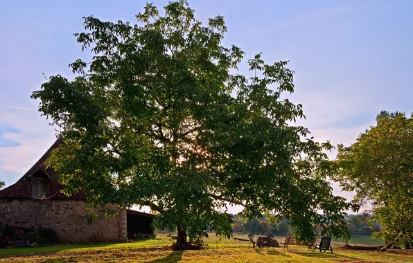 Leaves, rays, light, trees, bench, nature, house, chairs