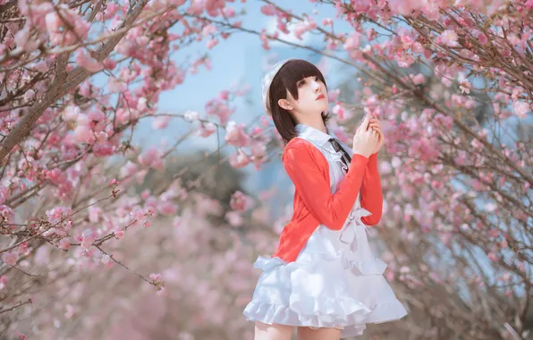 Beautiful, Asian, Model, Flowers, Woman, Cute, Pretty, Sunny