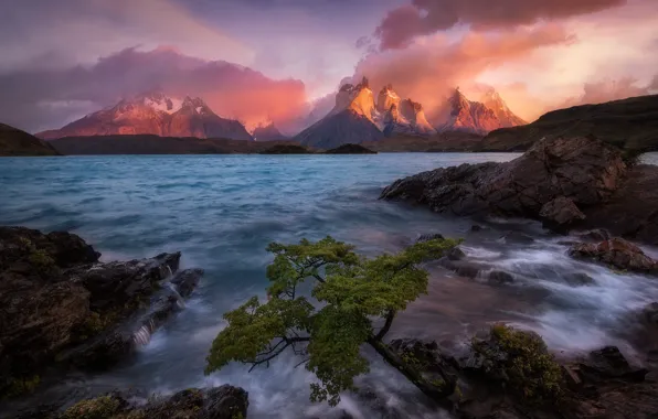 Sea, wave, clouds, light, sunset, mountains, stones, tree