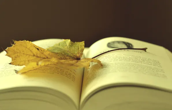 Picture autumn, book, pastel