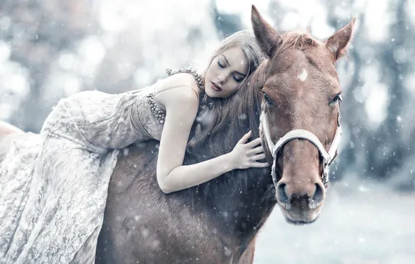 Picture girl, snow, horse, sleep, Alessandro Di Cicco, Queen Maud