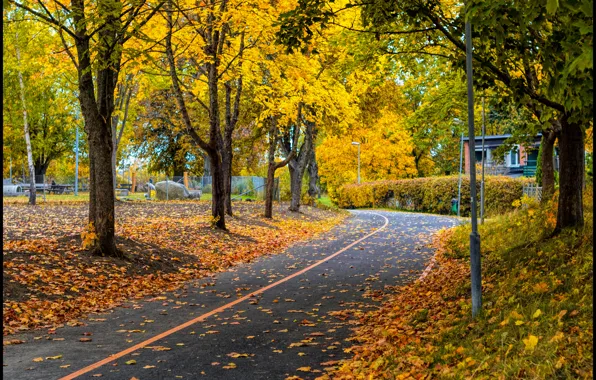 Autumn, Park, foliage, track, falling leaves, park, Autumn, leaves