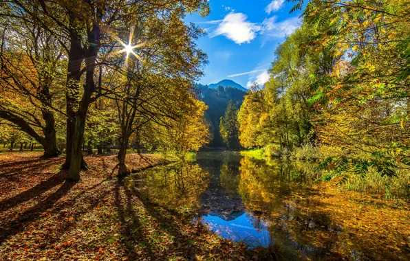 Picture autumn, forest, the sun, river, Autumn Sun