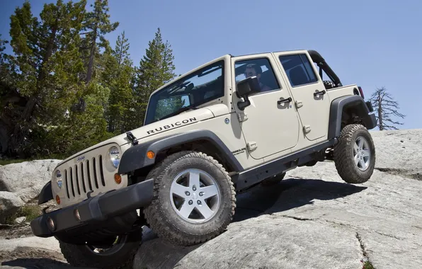 Picture the sky, trees, stones, rocks, SUV, Jeep, the front, Wrangler