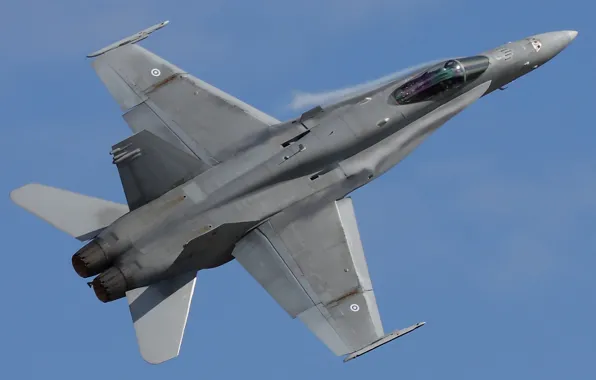 Picture fighter, multipurpose, Hornet, "Hornet", CF-18