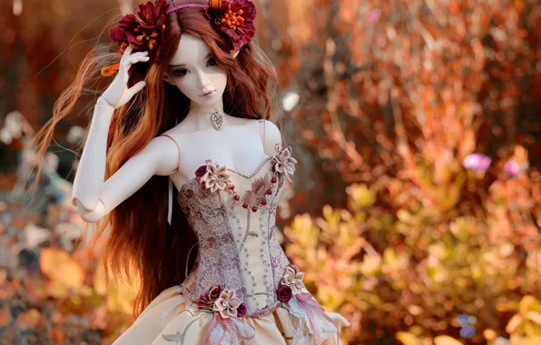 Picture decoration, flowers, nature, toy, doll, dress